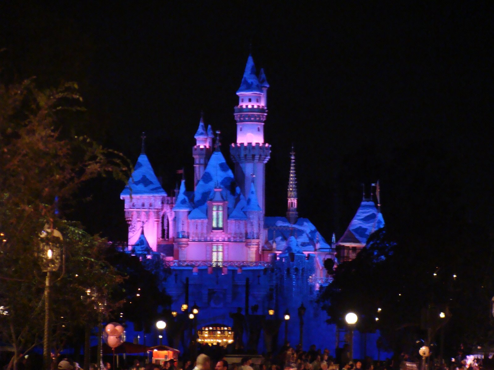 [DSC02495.JPG]