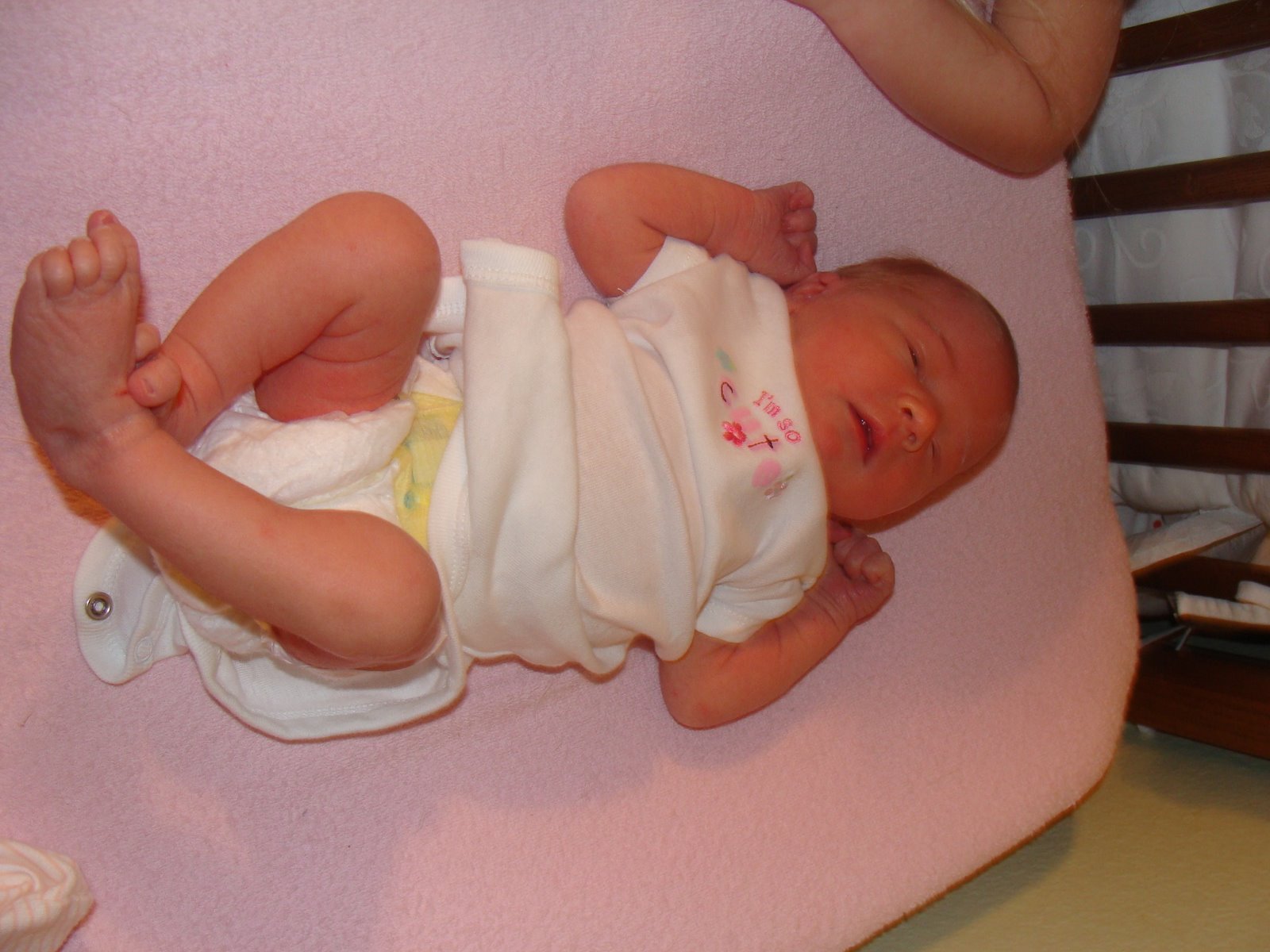 [DSC03158.JPG]
