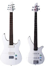 Electric&Bass Guitars