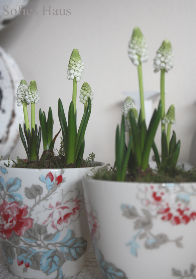 [Feb1910+038+Kopie.jpg]