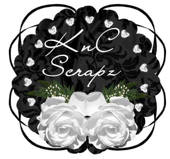 KnC Scrapz