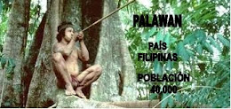 3º B PALAWAN