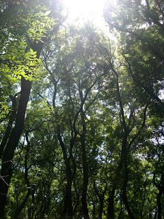 Created At 2016 11 30 21 02