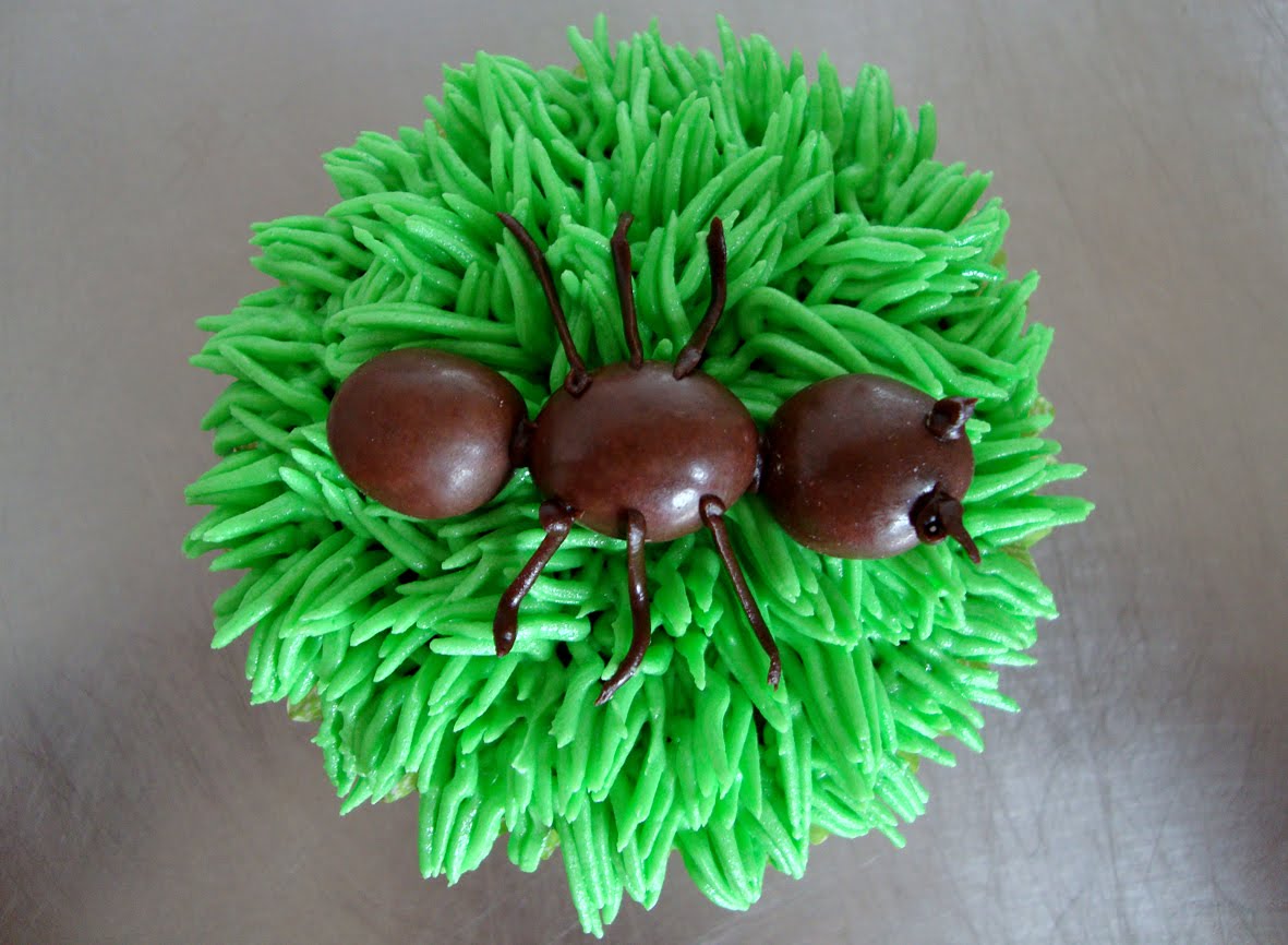 Hello There Cupcakes Oops there goes another rubber tree plant!