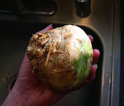 What Is Celeriac