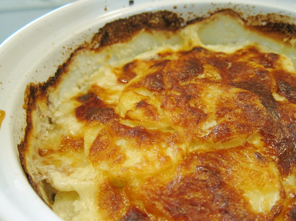 last call for corn potato gratin with summer savory