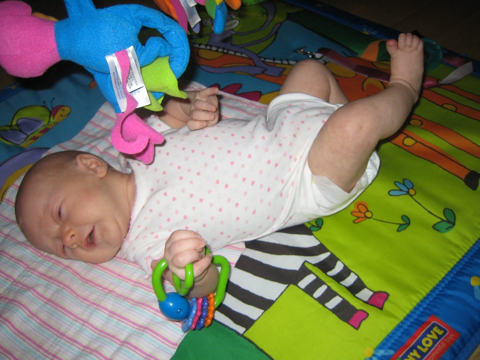 Parker Baby! 7 weeks old today.....and 9 pounds!!!