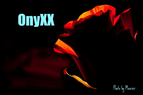OnyXX