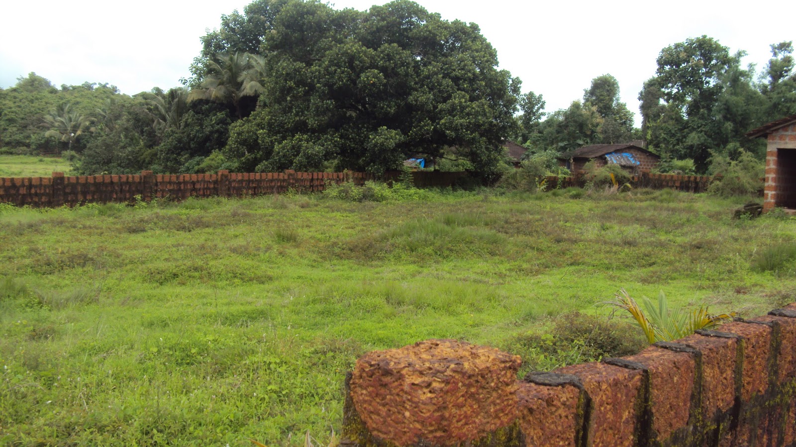 Plots and houses in Goa available Plot for Sale in Corjuem Aldona