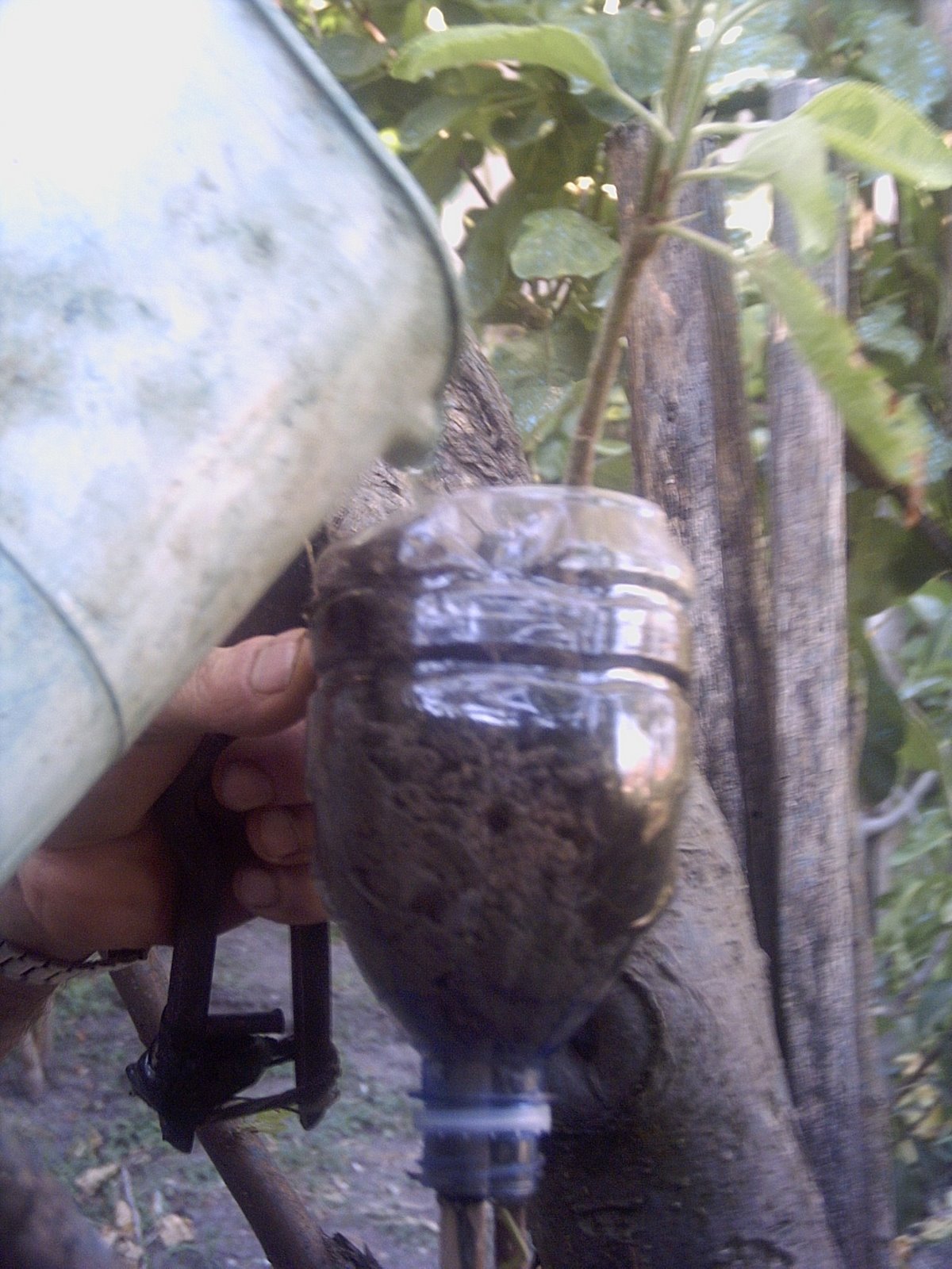 [PICT0009.JPG]