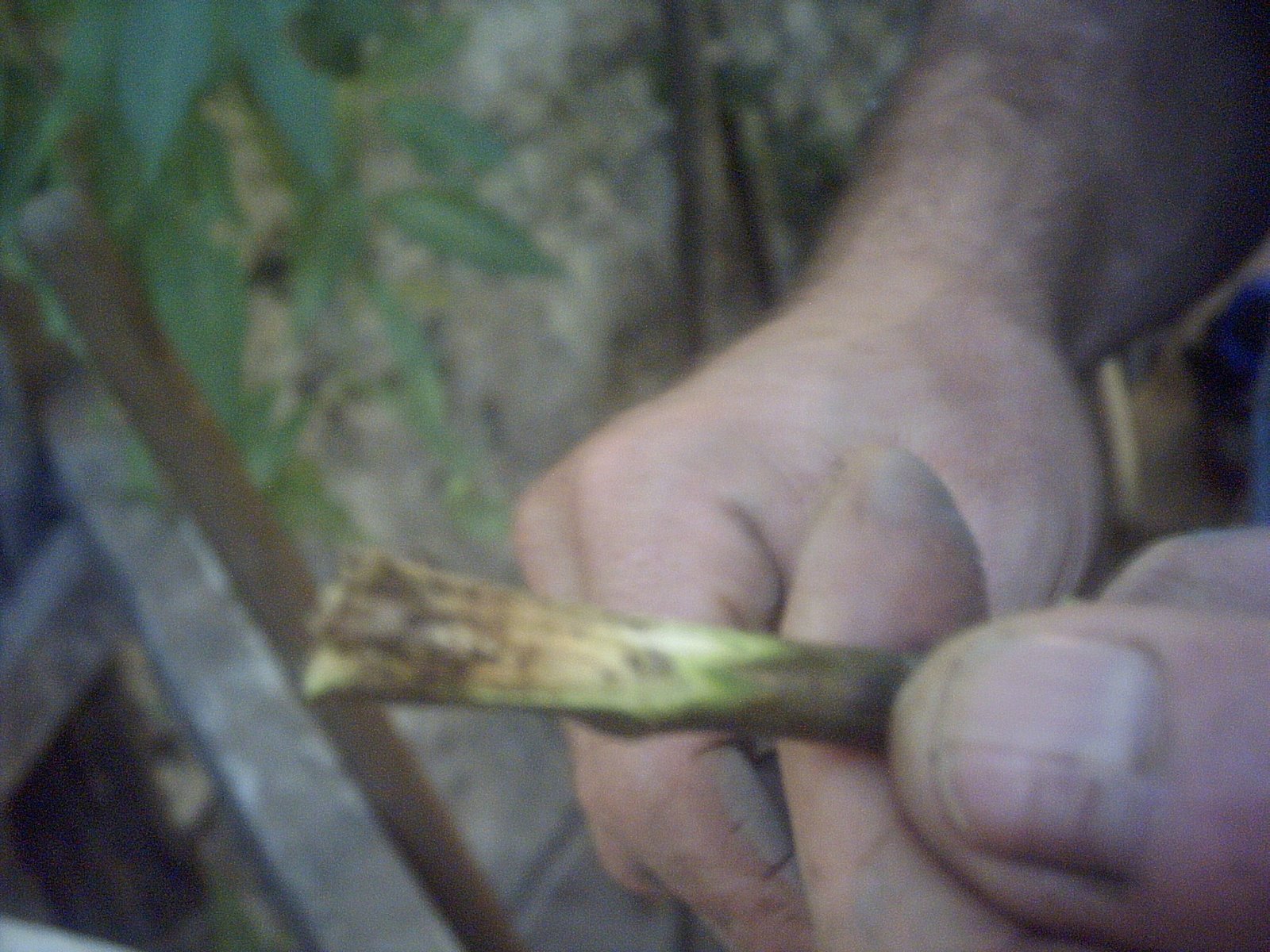 [PICT0014.JPG]