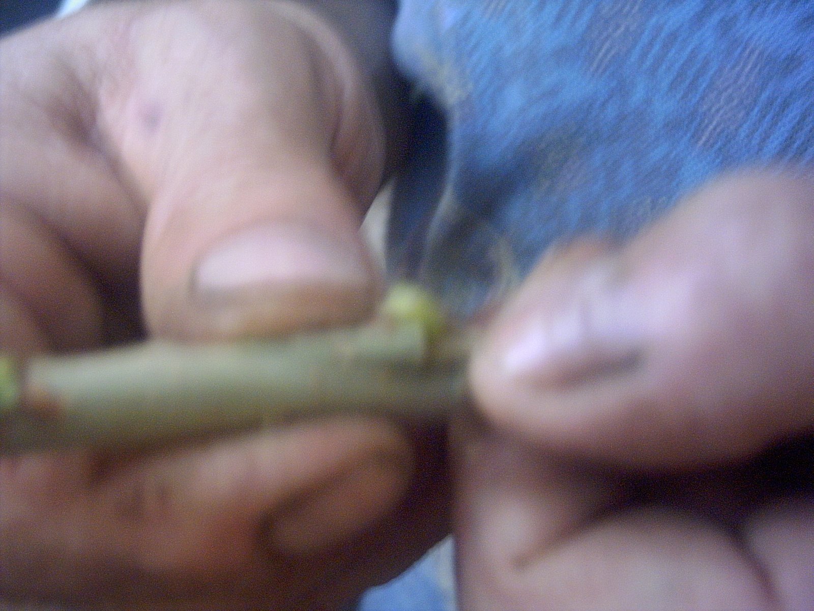 [PICT0012_1.JPG]