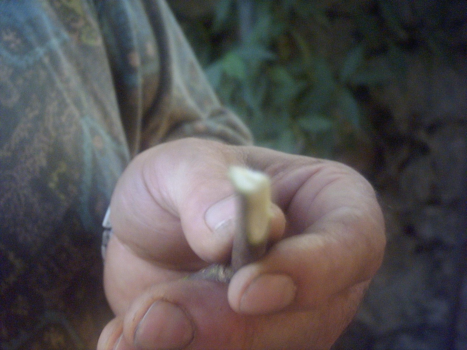 [PICT0005_2.JPG]