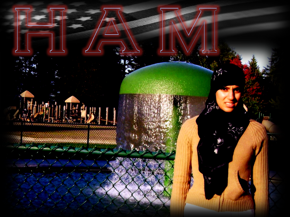 HAM Research Laboratories, Corp.