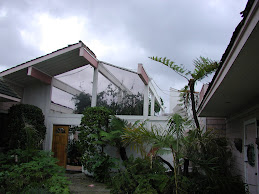 Before - storm damage