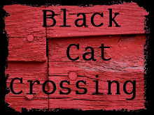 Black Cat Crossing