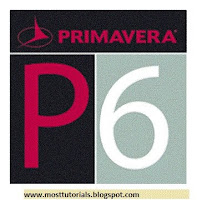 Download Primavera Project Planer 6 with usefull books Primavera+p6