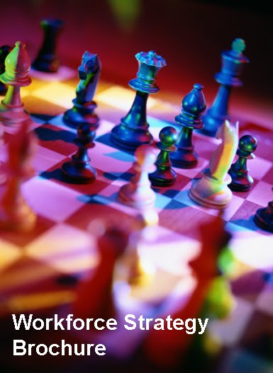 [workforce_strategy_brochure_graphic.jpg]