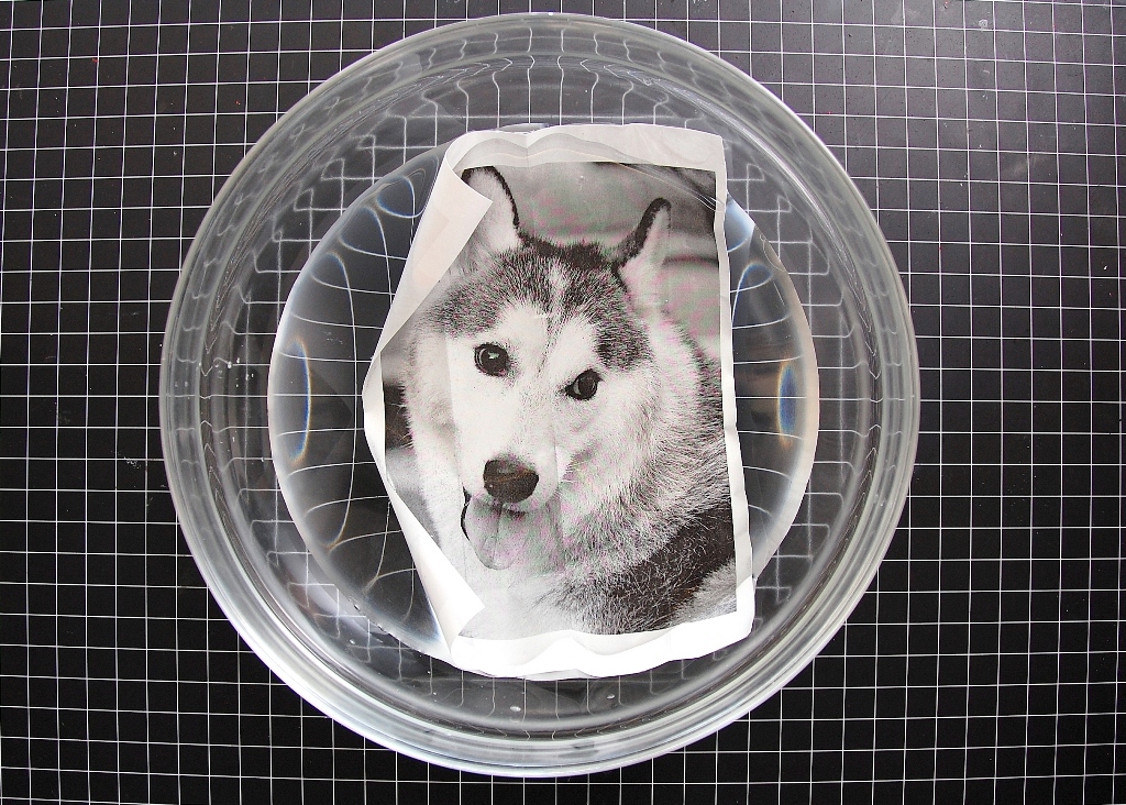 The BoBunny Blog Packing Tape Transfer Tutorial