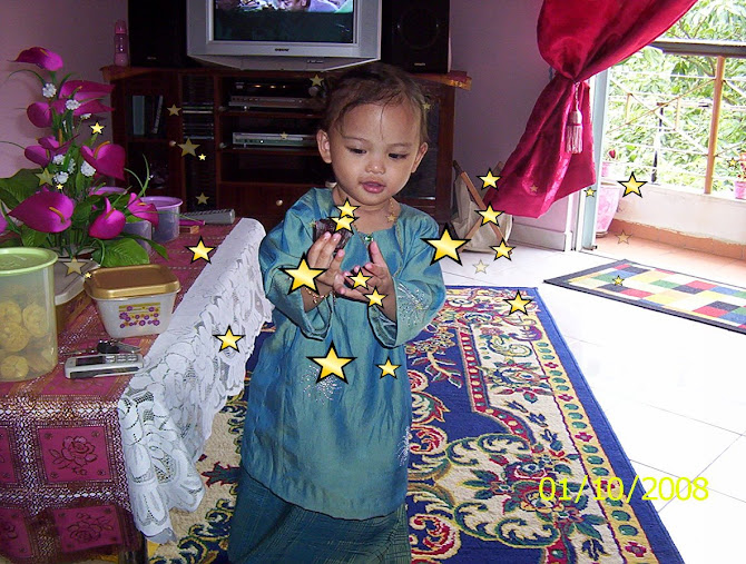 Raya2008