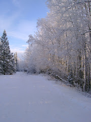 * Winter *