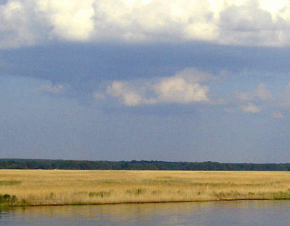 [landscape+uncentered.jpg]