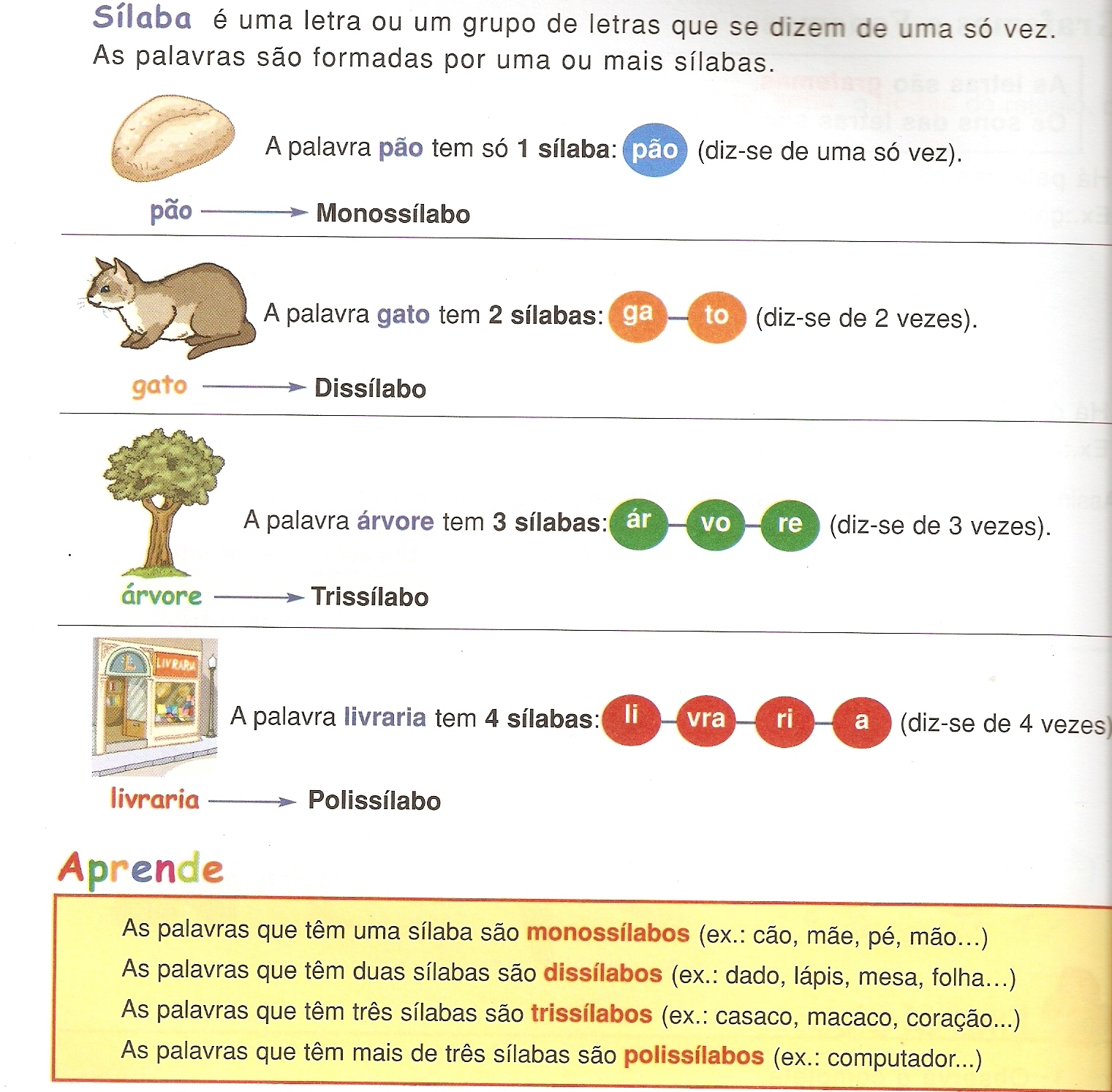[Digitalizar0003.jpg]