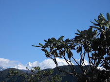 View from Sandakpur