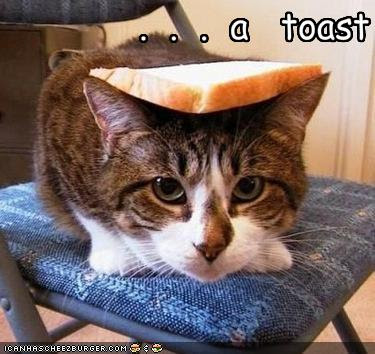 toast_fark.jpg