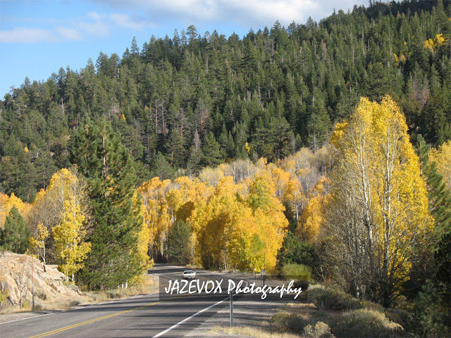 express in style high sierra northern california fall colors express in style high sierra northern california fall colors