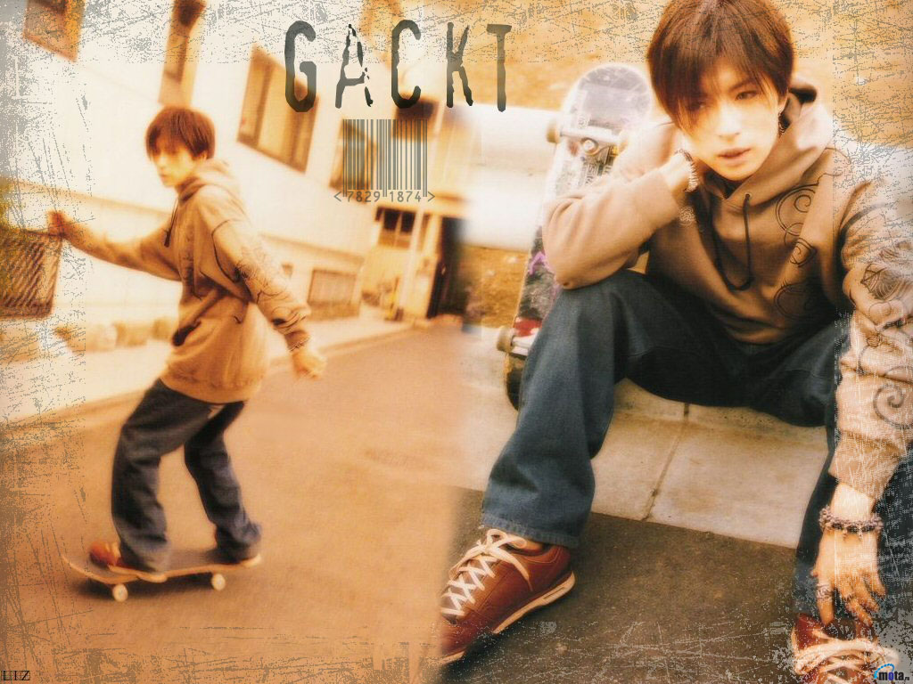 [wall_gackt_040.jpg]