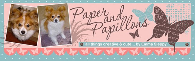 Paper and Papillons