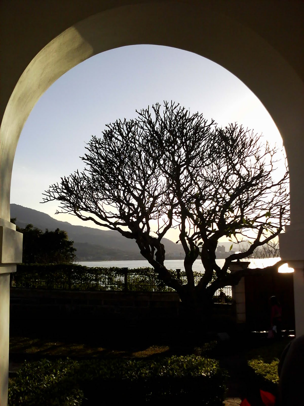 [Camera_20100109_160644.jpg]