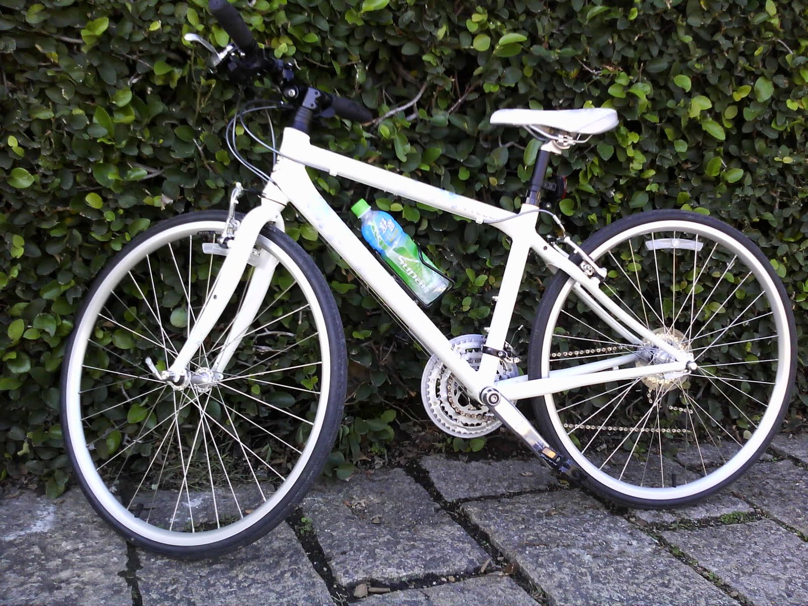 [Camera_20100109_152227.jpg]