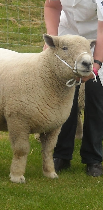 Royal Highland Show 2010