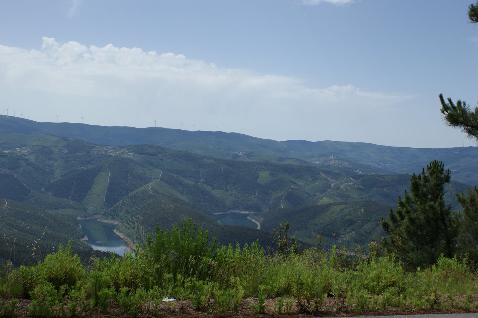[DSC01030.JPG]