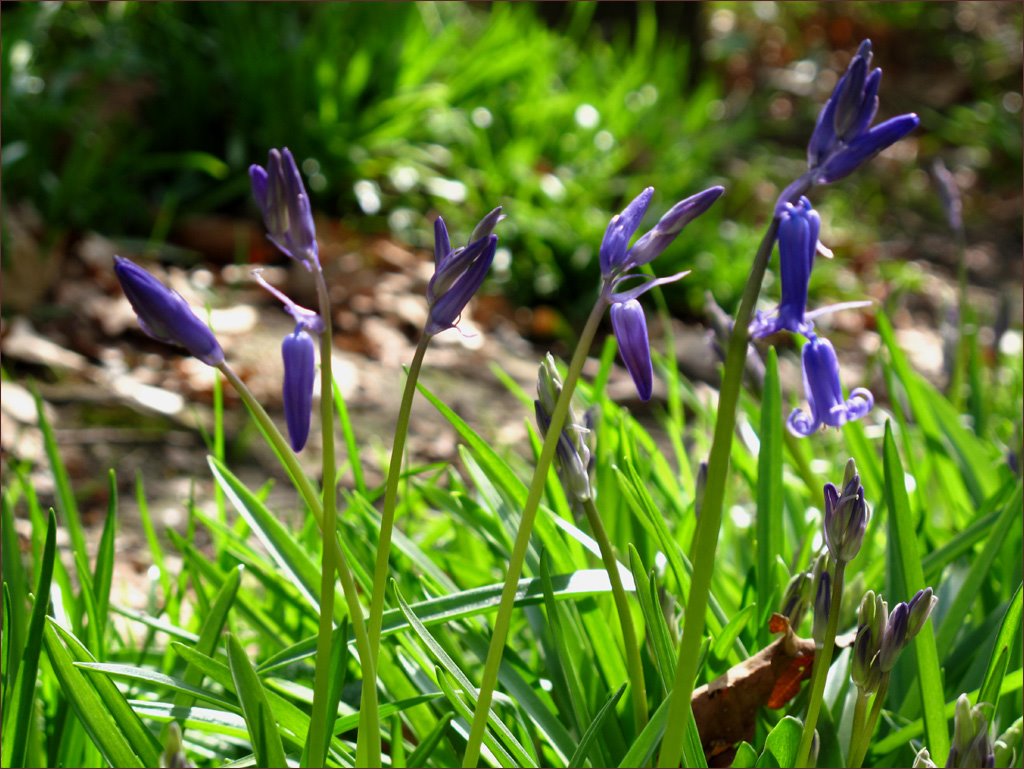 [19.04.09CP.jpg]