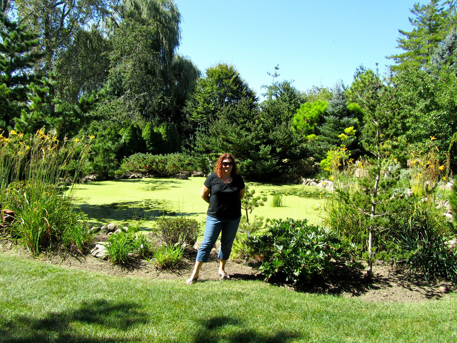 Cheesehead Gardening Pictures from our trip to Rich's Foxwillow Pines