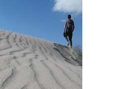 Caminando desiertos