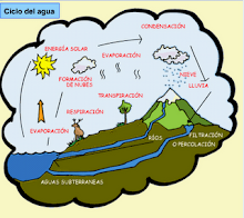 ciclo del agua