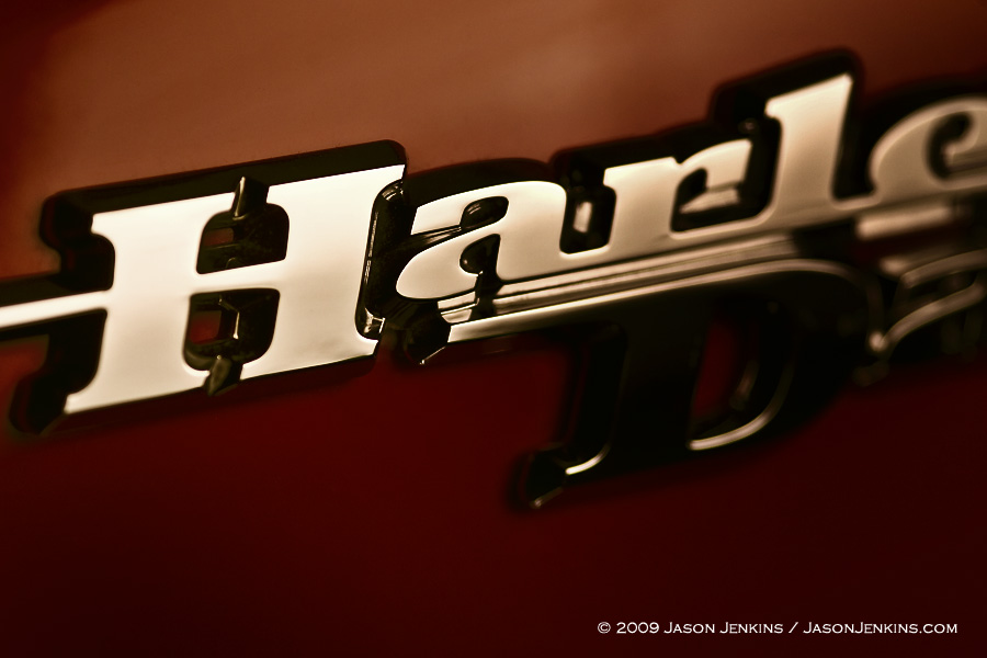 Harley Davidson Logo only harley