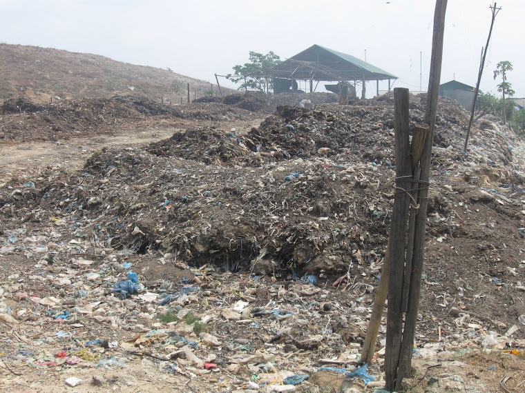 The Dump
