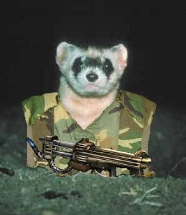 Lets Think a Little Deeper: Gun Don't Kill People, Ferrets Do - Part II