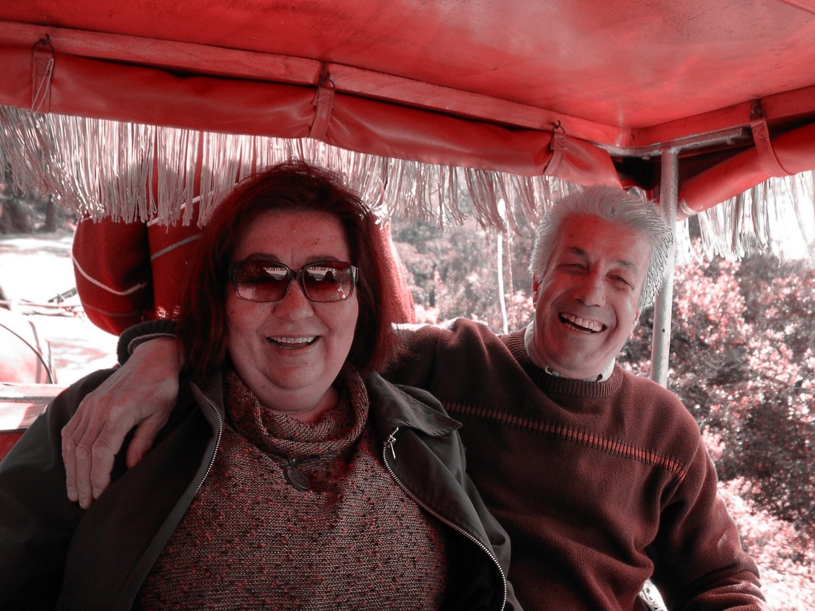 Buyukada Fayton ve sevgi