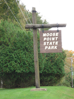 Behind My Red Door Last Weekend And This Weekend