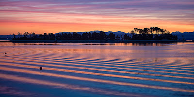 New Singh-Ray Blogspot Article (or "oops, I did it again"!)