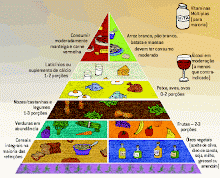 PIRÂMIDE ALIMENTAR