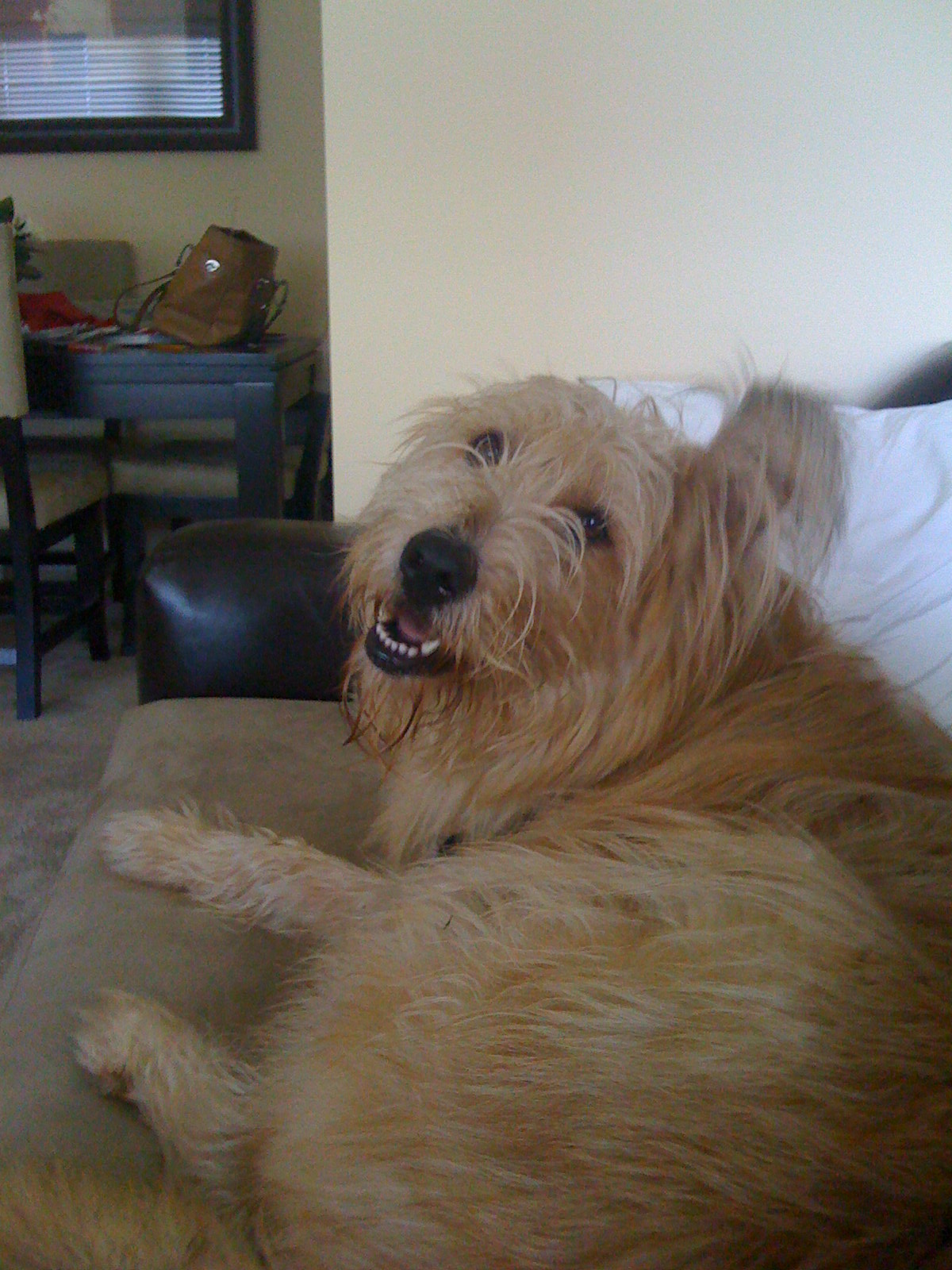 [new+camera+100.jpg]