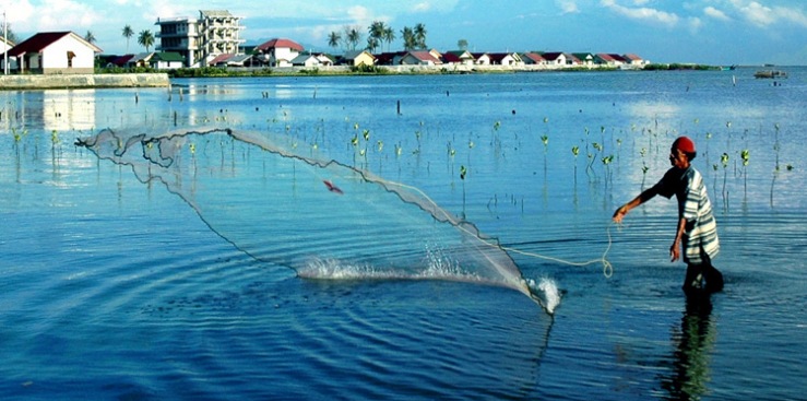 DEPARTEMEN LITBANG HIMPATINDO: JALA LEMPAR