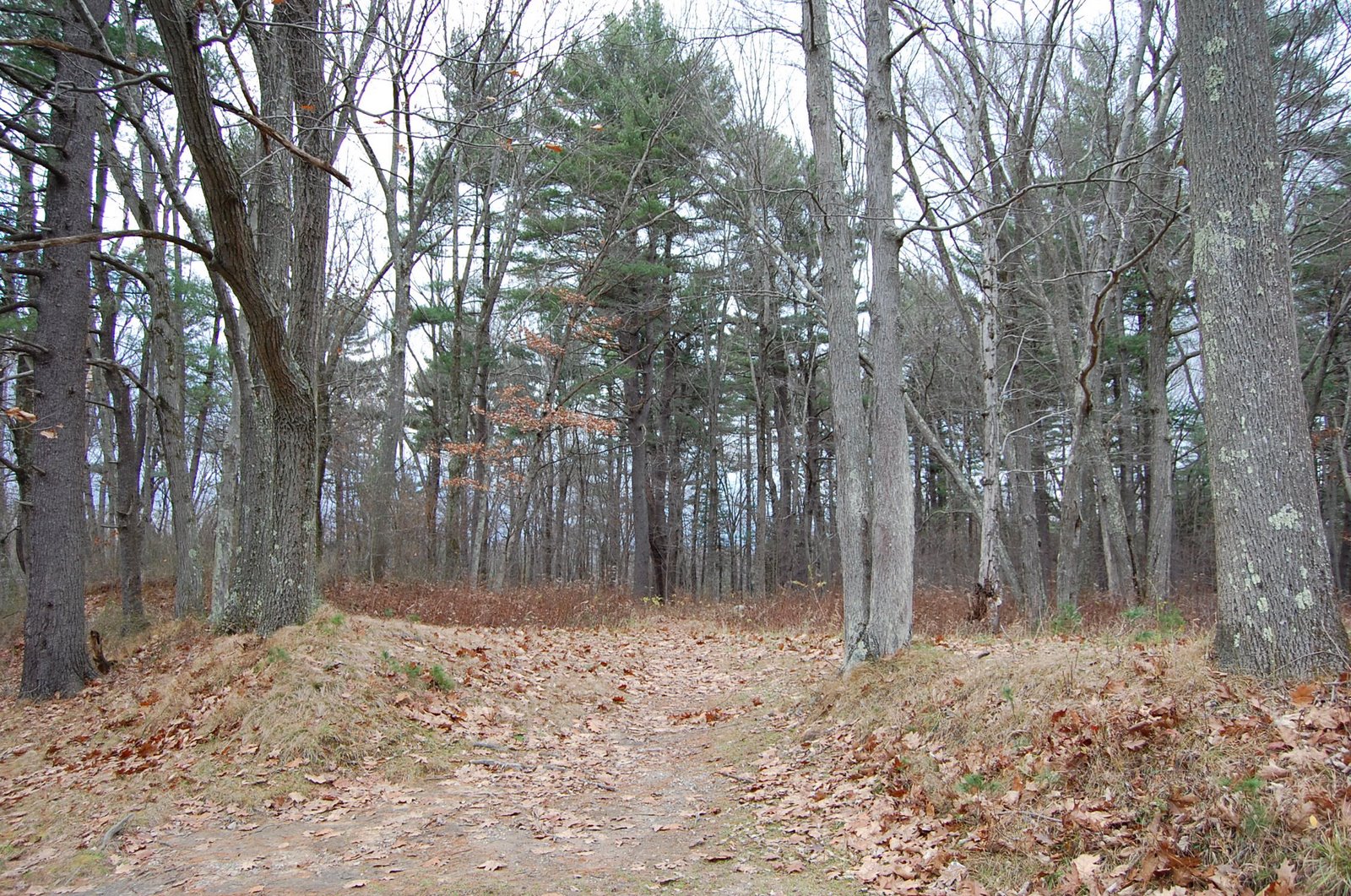 [DSC_0069.JPG]